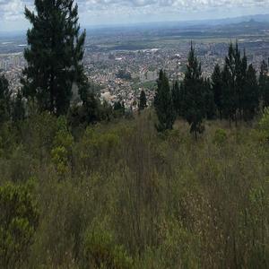 侵犯小太正Gay初精❌❌视频
